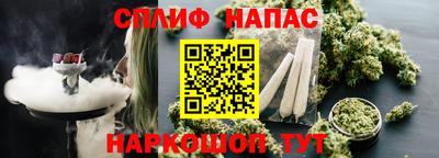 стаф Малгобек